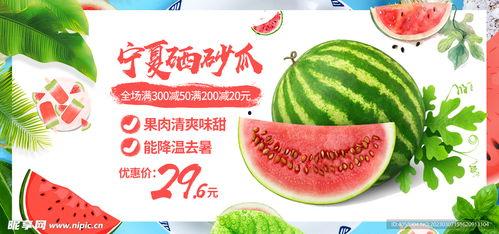 吃瓜娱乐封面设计图大全,潮流趋势与创意火花碰撞