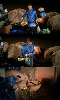 娱乐圈吃瓜大典,揭秘明星幕后风云