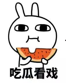 娱乐吃瓜酱很火吗,网络热度的秘密解析