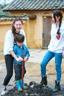 吃瓜娱乐太太,揭秘娱乐圈背后的故事与真相