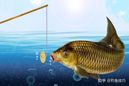 吃瓜娱乐小鲤鱼视频,趣味视频引网友热议