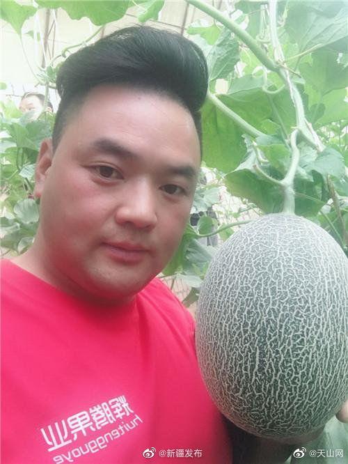 在网上吃瓜,揭秘虚拟世界中的围观文化